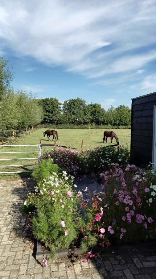 NoordgouweDe Klaproosアパートメント エクステリア 写真